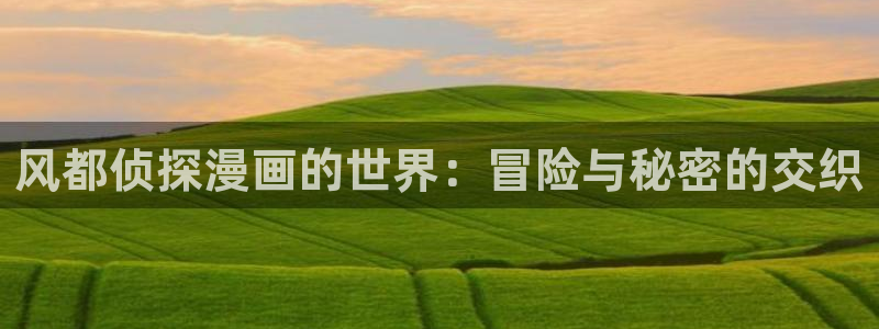 copy漫画：风都侦探漫画的世界：冒险与秘密的交织
