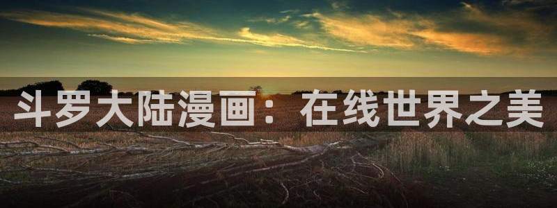 拷贝漫画插件