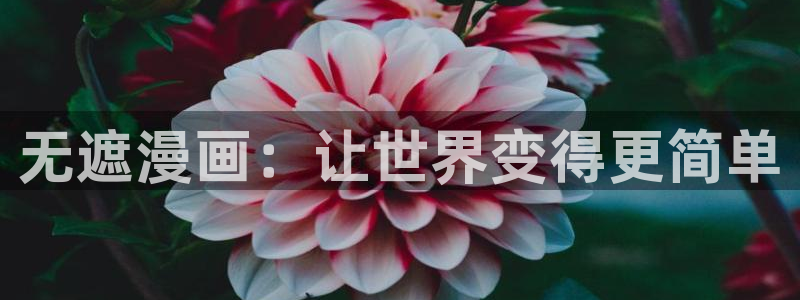 拷贝漫画繁体版 下载：无遮漫画：让世界变得更简单